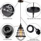 Adjustable Hanging Cage Industrial Pendant Light details