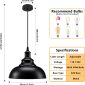 Adjustable Industrial Black Metal Pendant Light dimension