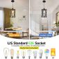 Dimmable Industrial Plug in Kitchen Pendant Light 1light standard