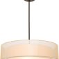 ixture Stylish Adjustable Hanging Light 1